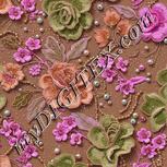 Colour:B