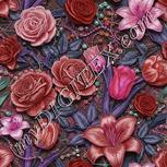 Colour:B