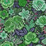 Colour:C