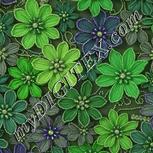 Colour:D