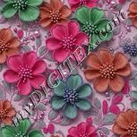 Colour:B