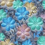 Colour:F
