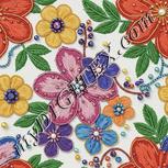 Colour:A