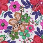 Colour:B