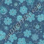 Colour:F