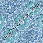 Colour:F
