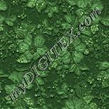 Colour:K