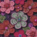 Colour:B