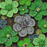 Colour:D