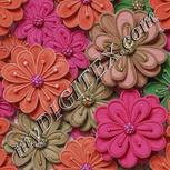 Colour:B