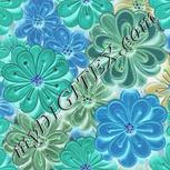 Colour:F