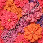 Colour:J