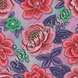 Colour:B
