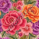 Colour:J