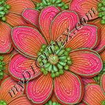 Colour:B