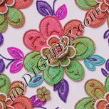 Colour:B