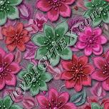 Colour:B