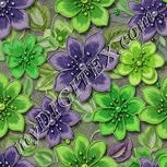 Colour:D