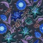 Colour:F