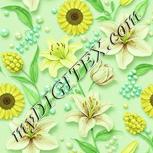 Colour:K