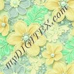 Colour:K