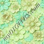 Colour:K