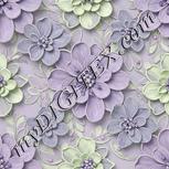 Colour:D