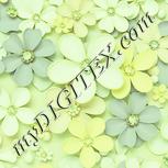 Colour:K