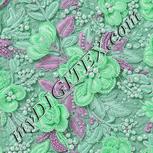 Colour:C