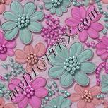 Colour:B
