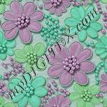Colour:C