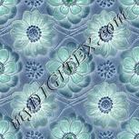 Colour:F