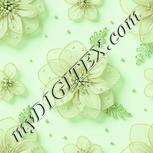 Colour:K