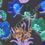 Colour:F