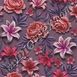 Colour:B