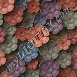 Colour:A