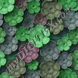 Colour:C