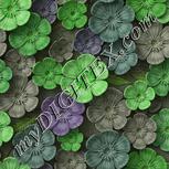 Colour:D