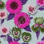 Colour:B