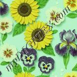 Colour:K