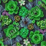 Colour:C