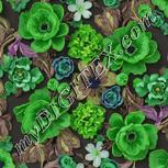 Colour:D