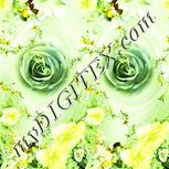 Colour:K