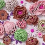Colour:B