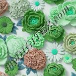 Colour:C