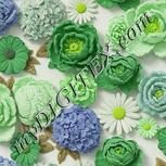 Colour:D