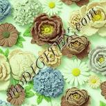 Colour:K