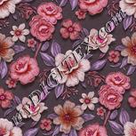 Colour:B