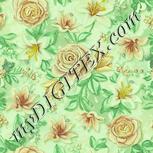 Colour:K
