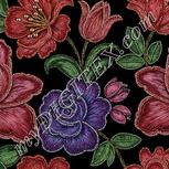 Colour:A